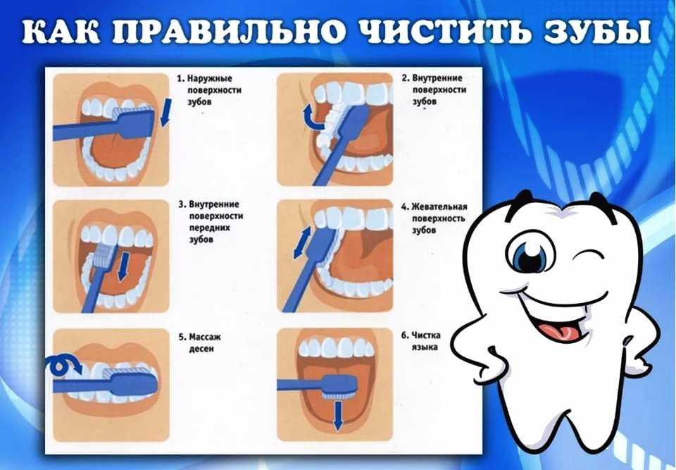 Исследовательская работа на тему «Влияние зубной пасты на прочность зубов»