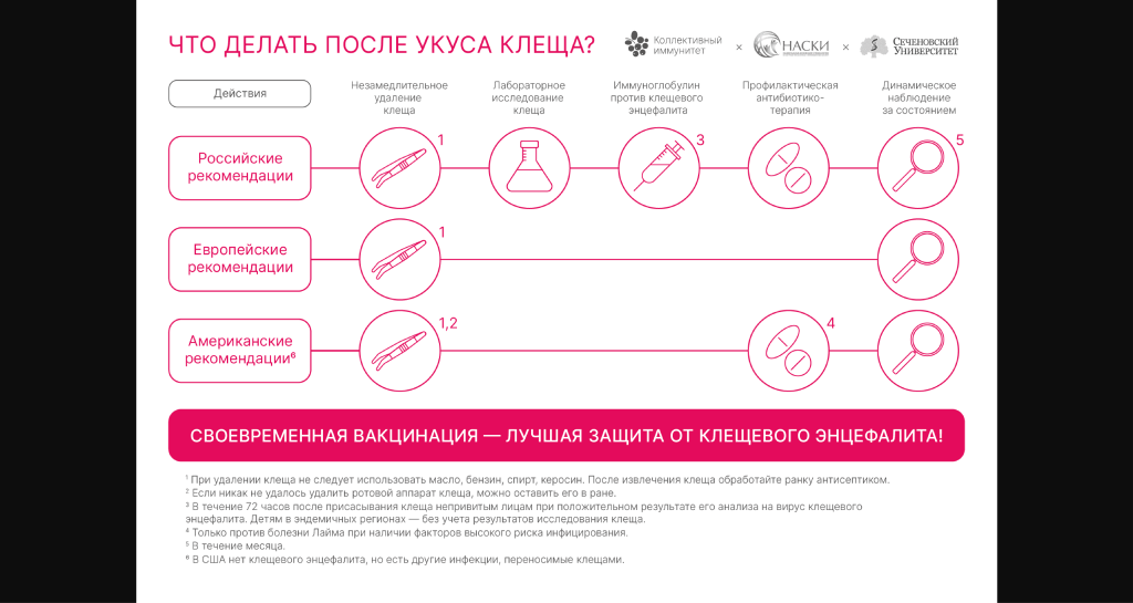Укус клеща Укус клеща